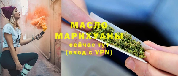 твердый Арсеньев