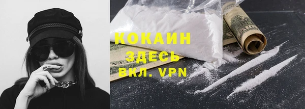 твердый Арсеньев