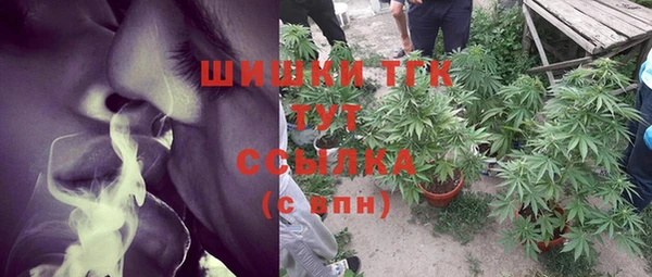 твердый Арсеньев