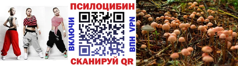 OMG   Протвино  Галлюциногенные грибы Cubensis  что такое наркотик 